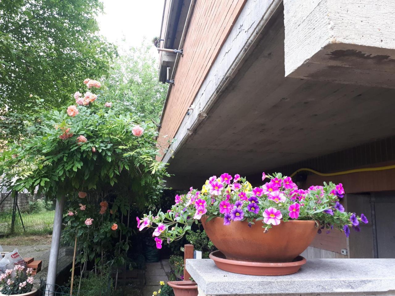 B&B Papa Leone Countryrooms ローマ エクステリア 写真